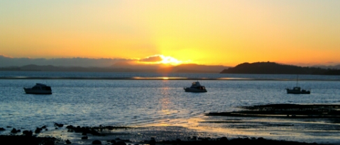 IMG_20141029_213759.jpg image