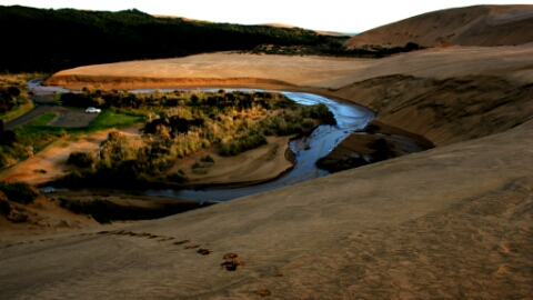 IMG_20141123_105312.jpg image