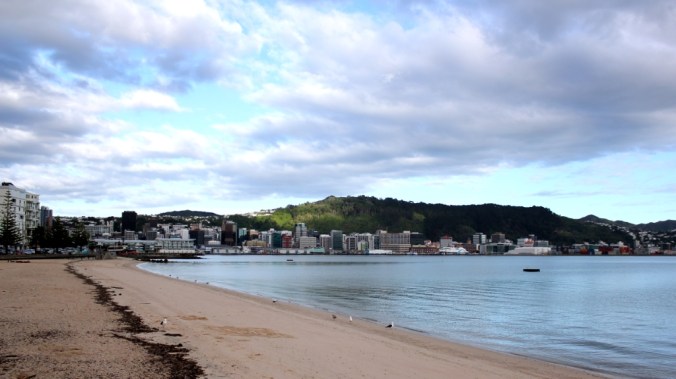 Oriental Bay, Wellington on New Year's Day, 2015. The water that day was the calmest we've ever seen. Photo by Steve Collier, 2015.